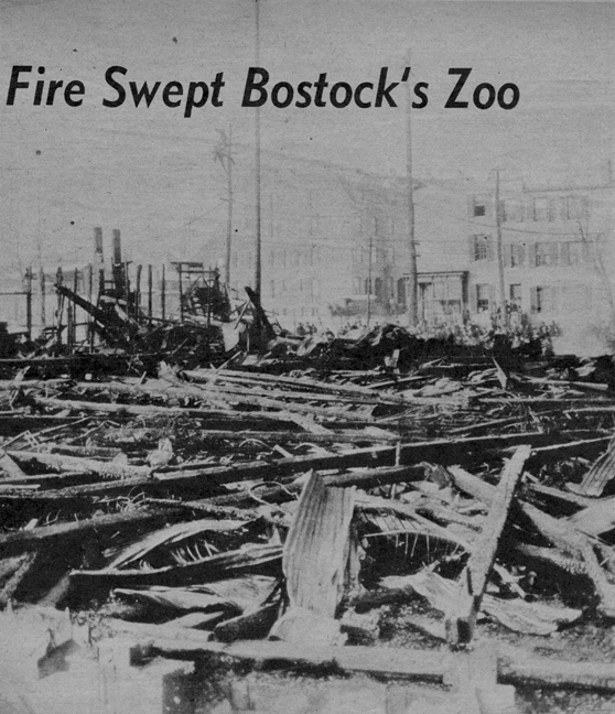 Bostock's Zoo After the Fire