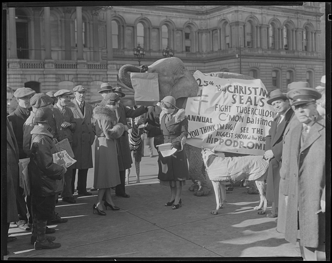 Maryland Tuberculosis Association Christmas Seal Campaign.Elephant with banner also advertising for the Hippodrome in front of City Hall, December 5, 1931, photograph by the Hughes Company, MdHS, MC6236