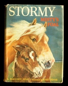 Stormy_Mistys_Foal