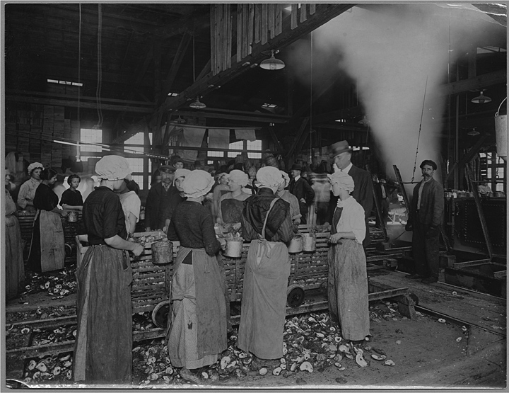 Food inspector John F. Earnshaw inspecting oyster shucking operation, Baltimore, Maryland.  United States Department of Agriculture, ca. 1914-1915,  Arthur J. Olmstead Collection, MdHS. 