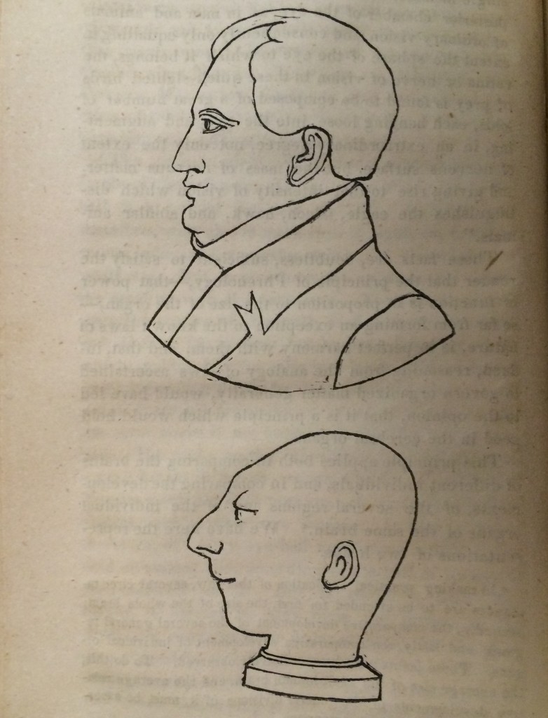 In 1832, George Henry Calvert, a member of the Phrenological Association of Baltimore, served as editor of "Illustrations of Phrenology," a volume of collected works on phrenology. "These two heads stand at two extremes of human and cerebral organization: the first presents the most noble and beautiful outline: the second is scarcely human in its form. The minds manifested through them were equally unlike: the first is the head of the great German Goethe: the other, that of an idiot.”  Calvert, George Henry, Illustrations of phrenology (Baltimore: W. and J. Neal, 1832)