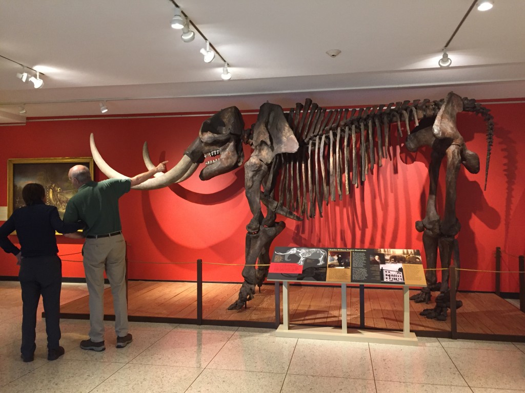 Reproduction of the Mastodon bones excavated by Charles Wilson Peale in 1801 on display at the Maryland Historical Society.
