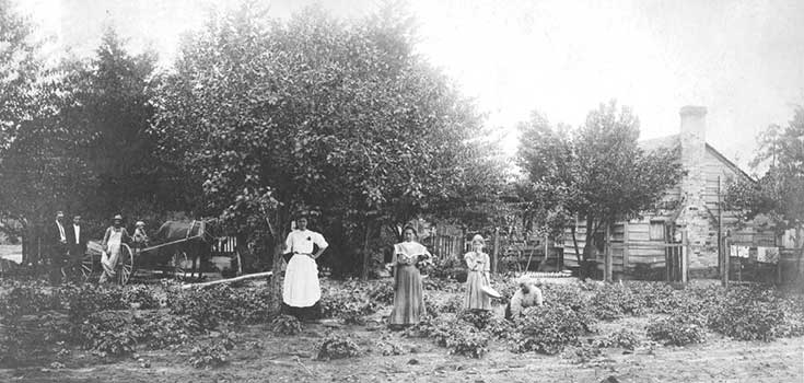 "Croatoan Indian garden, with house behind. Women in center foreground, men at left background by horse & buggy," H.19XX.325.25, Image courtesy of the North Carolina Museum of History.