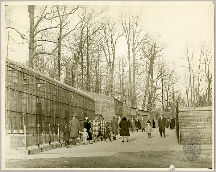 Cages and visitors at the zoo in Druid Hill Park, Baltimore, unidentified photographer, circa 1920-1930, 1994.42.099. Julius Anderson Photograph Collection, 1994.42 &amp; 1995.62, H. Furlong Baldwin Library, Maryland Historical Society (Reference Photo).