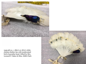 1949.98.13. c. 1860’s or 1870’s white chicken feather fan with taxidermied bird of paradise head. Gifted by Mrs. Leonard P. Baker & Miss. Edith Clark