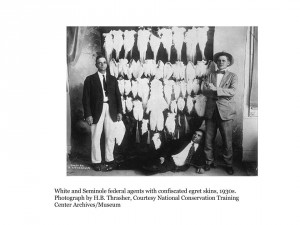 White and Seminole federal agents with confiscated egret skins, 1930s. Photograph by H.B. Thrasher, Courtesy National Conservation Training Center Archives/Museum 