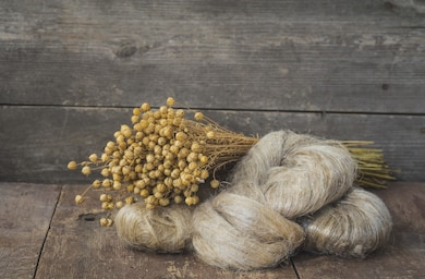 A bundle of the flax plant sitting on top of skeins of processed flax fibers on a wood floor in front of a wooden wall.