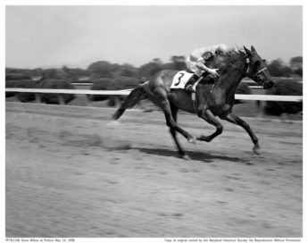Snow Willow at Pimlico, Robert Kniesche, May 14, 1956