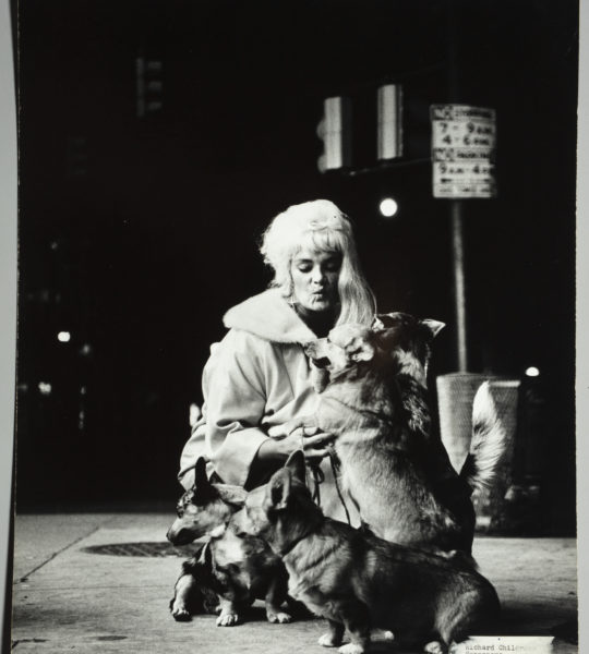 Night photograph of a person with four dogs from the series "Unidentified People, circa 1960s-1970s" by Richard Childress.